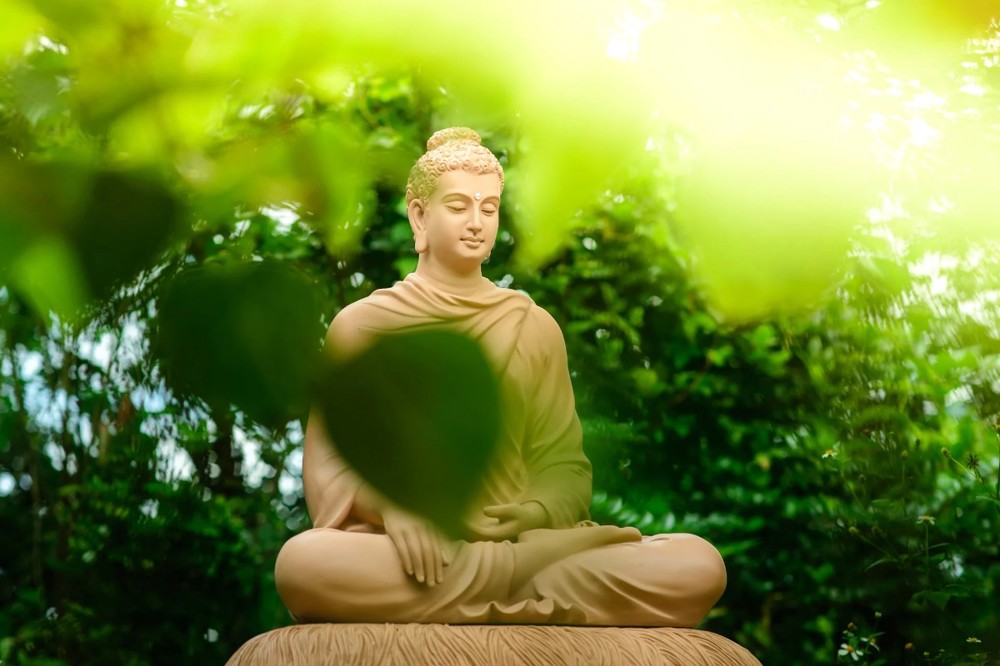 Thiền Và Phương Pháp Thiền Định Phật Giáo Giúp Thanh Lọc Tâm Hồn, Phát Triển Trí Tuệ